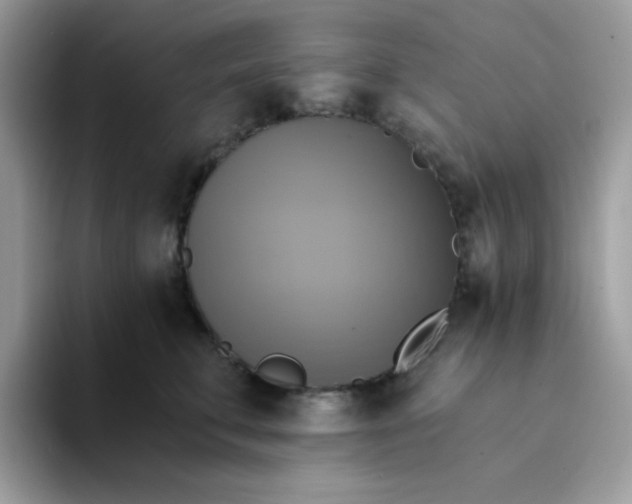 X0000094210711200711091237