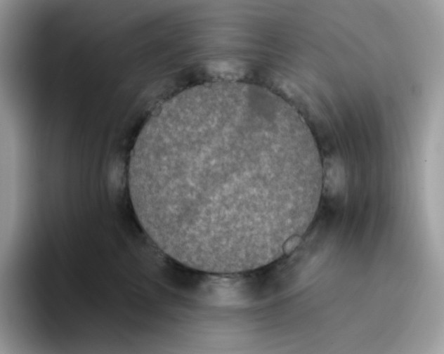 X0000094210713200711091237
