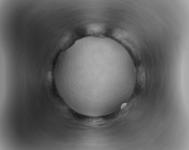 X0000094210716200711091237