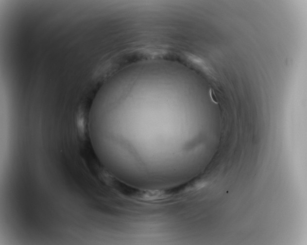 X0000094210720200711091237