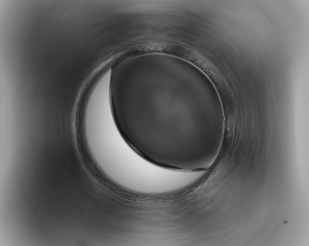 X0000094210722200711091237