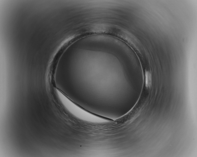 X0000094210723200711091237