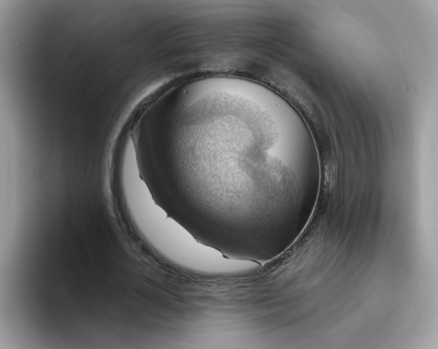 X0000094210724200711091237