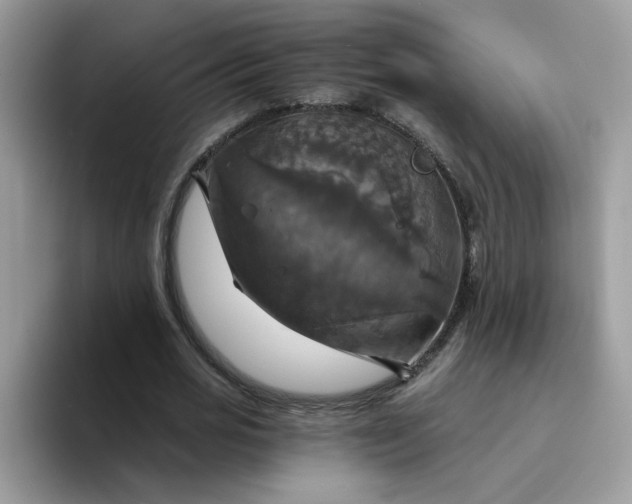 X0000094210725200711091237