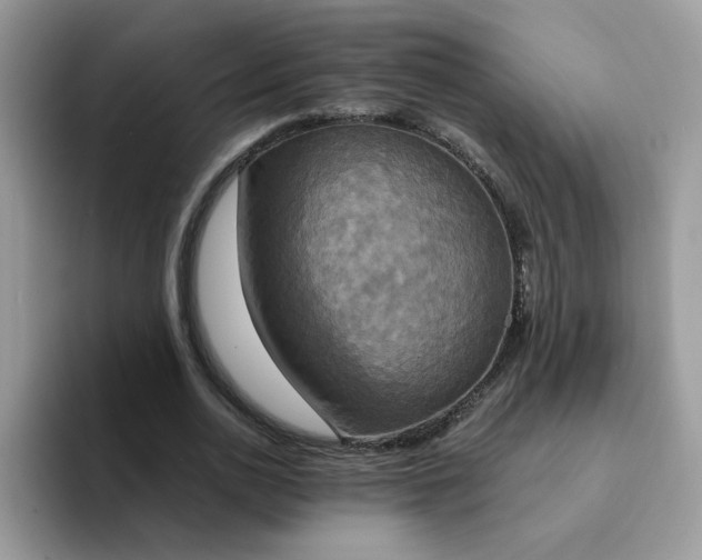 X0000094210726200711091237