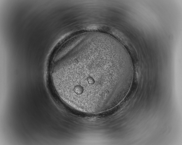 X0000094210728200711091237