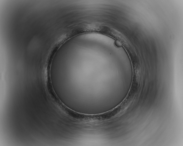 X0000094210729200711091237