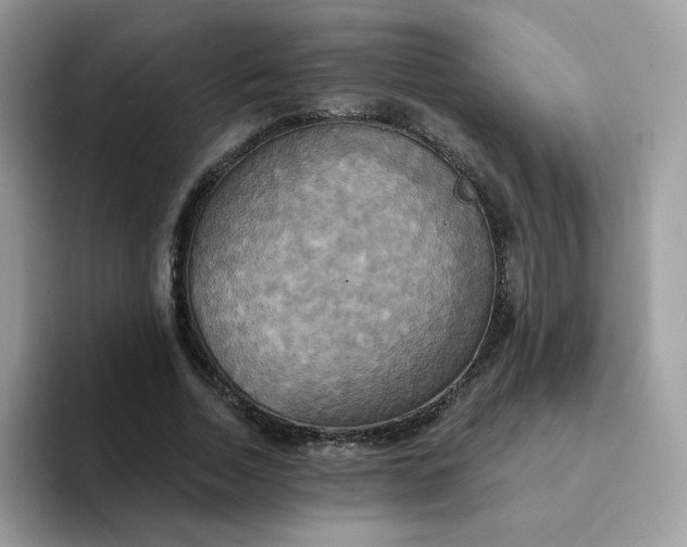 X0000094210730200711091237