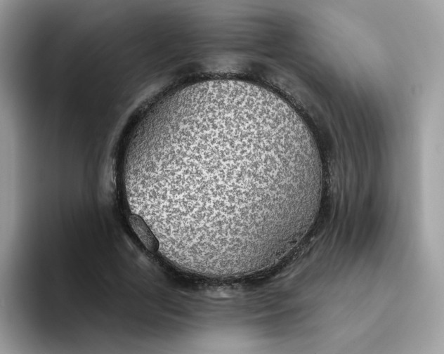 X0000094210731200711091237