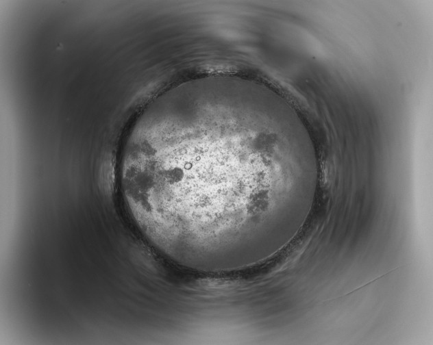 X0000094210733200711091237
