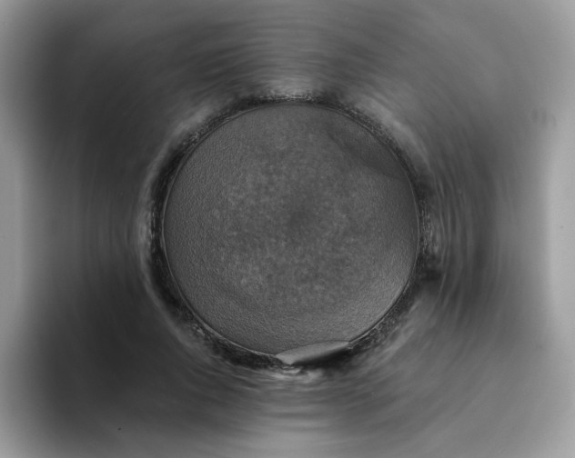 X0000094210736200711091237