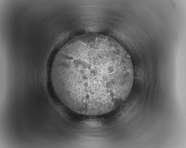 X0000094210738200711091237