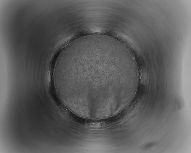 X0000094210740200711091237