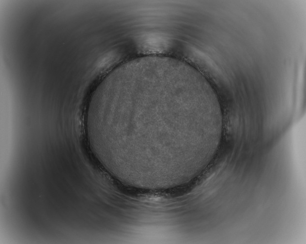 X0000094210743200711091237