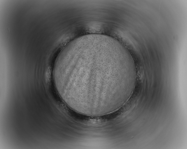 X0000094210744200711091237