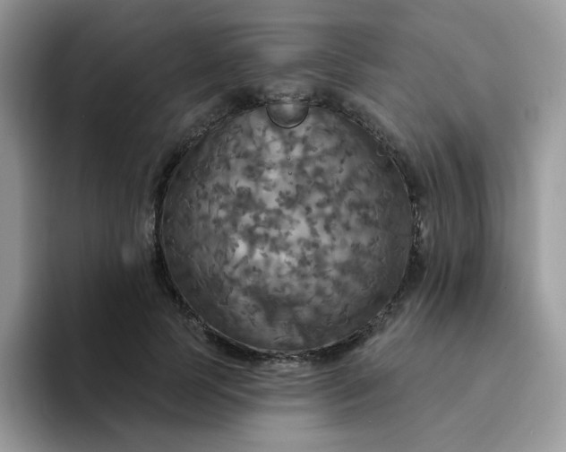 X0000094210745200711091237