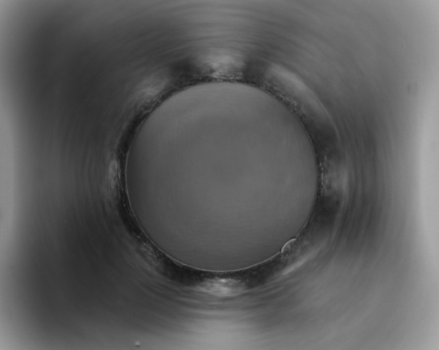 X0000094210748200711091237