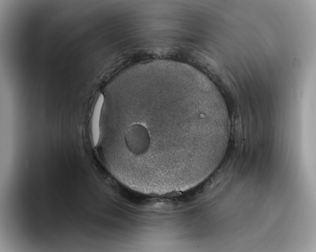 X0000094210750200711091237