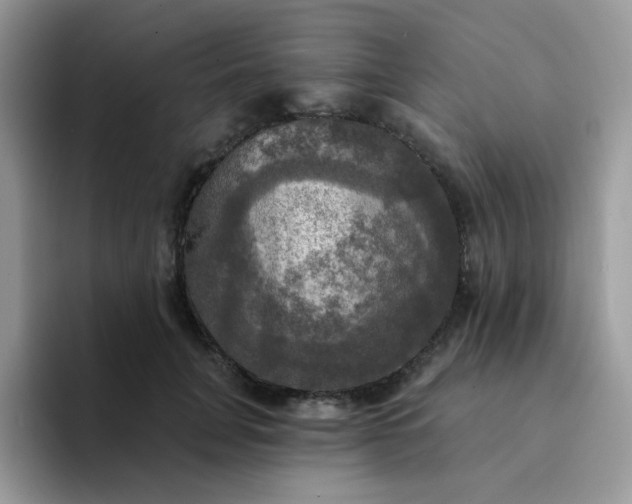 X0000094210751200711091237