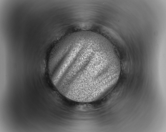 X0000094210752200711091237