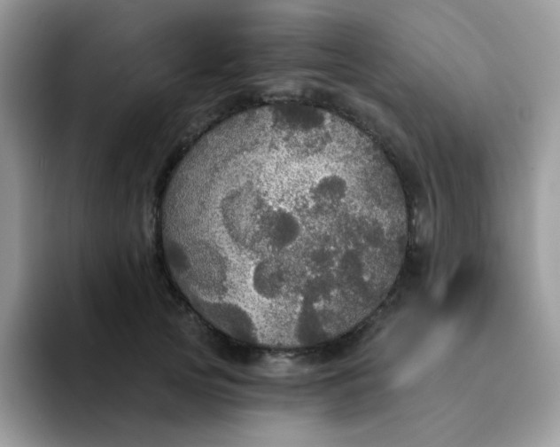 X0000094210753200711091237