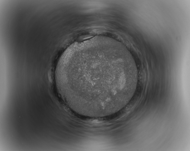 X0000094210755200711091237