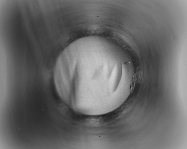 X0000094210756200711091237