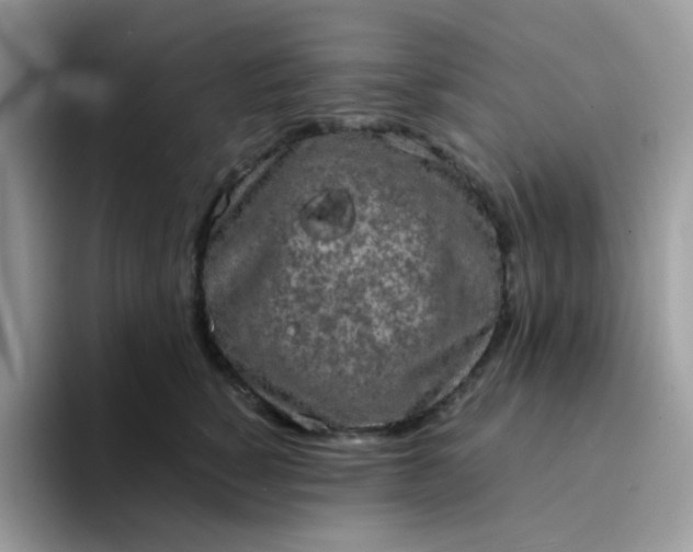 X0000094210760200711091237