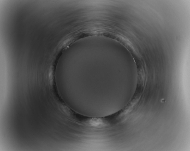 X0000094210762200711091237