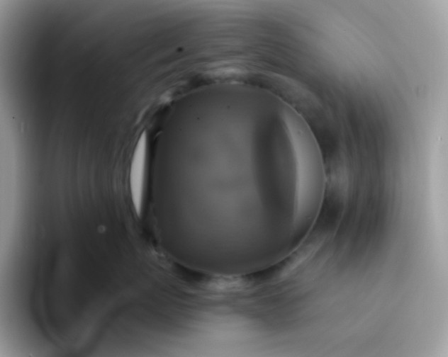 X0000094210767200711091237