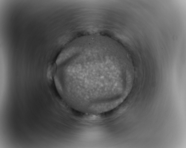 X0000094210768200711091237