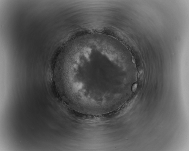 X0000094210772200711091237