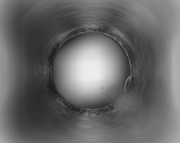 X0000094210773200711091237