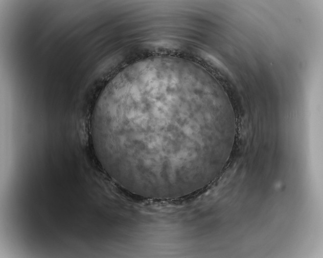 X0000094210774200711091237