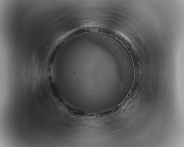X0000094210775200711091237