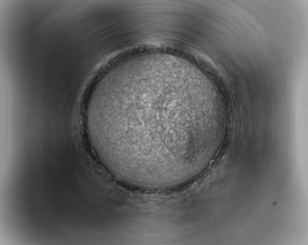X0000094210776200711091237
