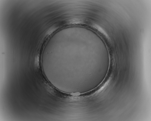 X0000094210777200711091237