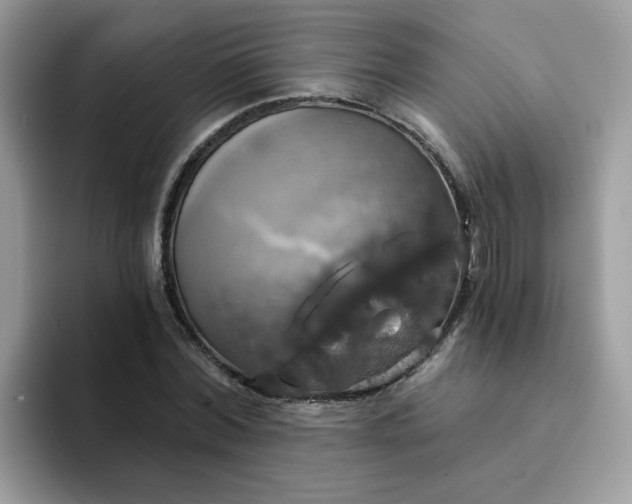 X0000094210780200711091237