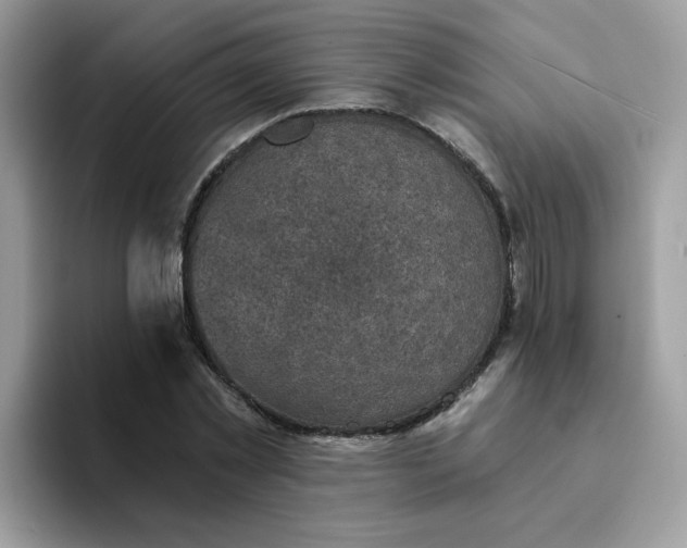 X0000094210781200711091237