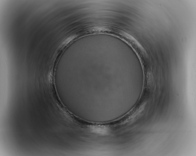 X0000094210785200711091237