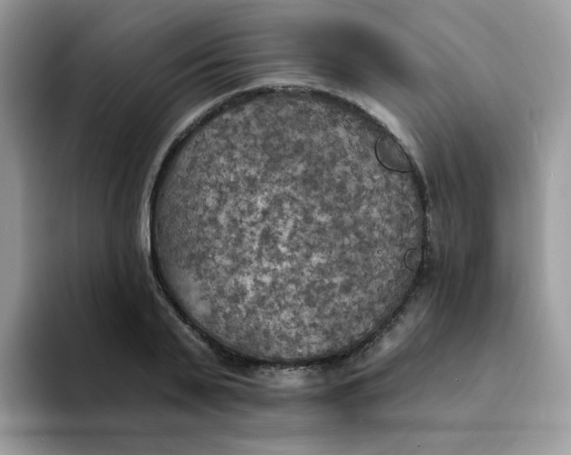 X0000094210791200711091236
