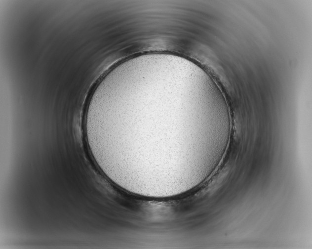 X0000094210794200711091236