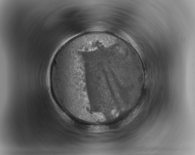 X0000094210795200711091236