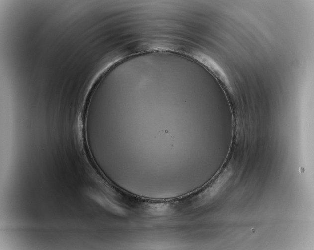 X0000094210798200711091236