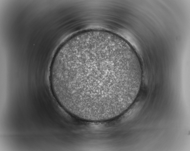 X0000094210799200711091236