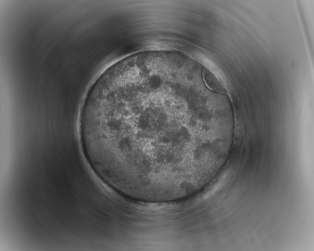 X0000094210803200711091236