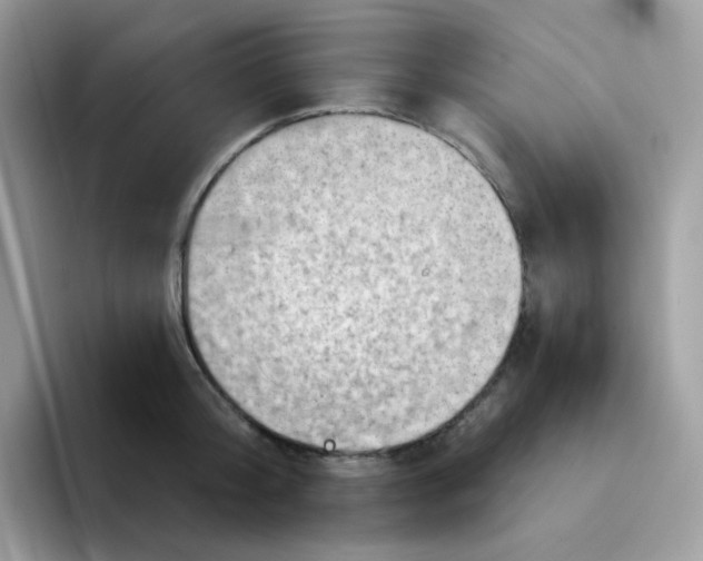 X0000094210804200711091236