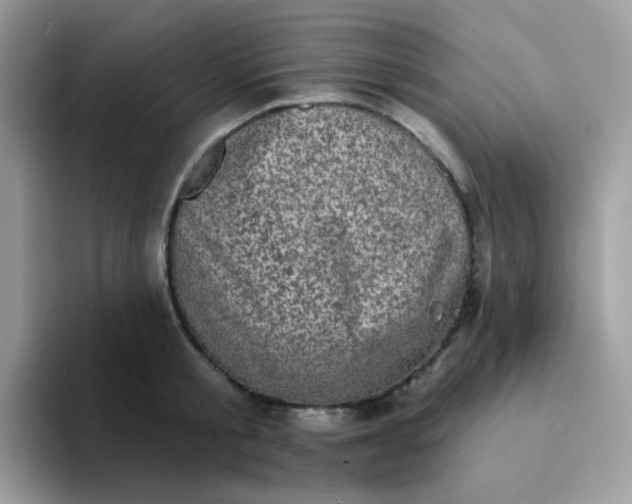 X0000094210805200711091236