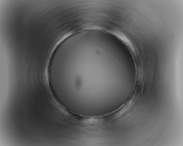 X0000094210806200711091236