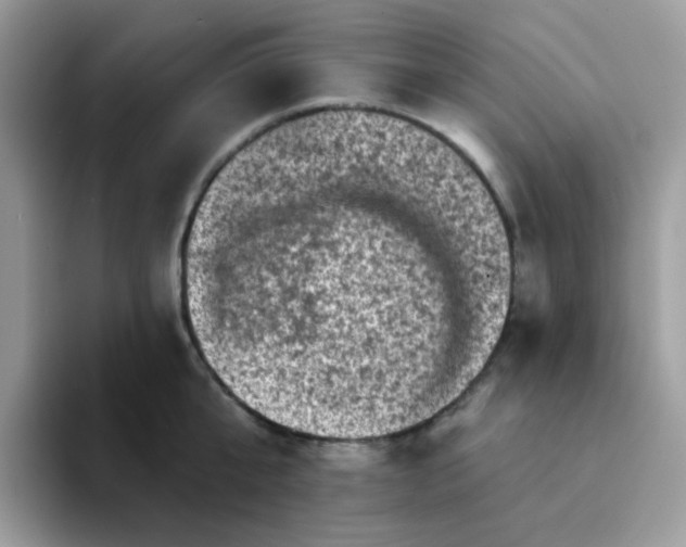 X0000094210807200711091236